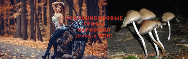 2c-b Лихославль