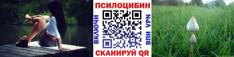 купить сайты Медвежьегорск Галлюциногенные грибы мицелий